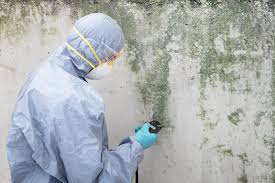 Best Industrial Mold Remediation  in Holbrook, NY